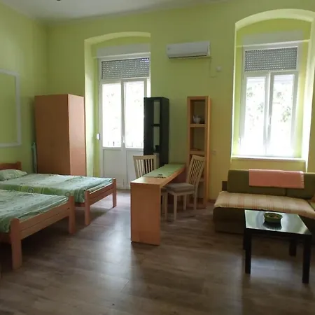Kiki * Novi Sad